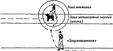 Собака сопровождения - i_031.png
