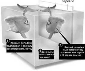 Книга о странном - i_084.jpg