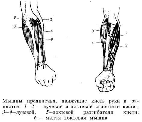 О ловкости и ее развитии - any2fbimgloader15.jpeg