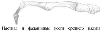 О ловкости и ее развитии - any2fbimgloader16.jpeg
