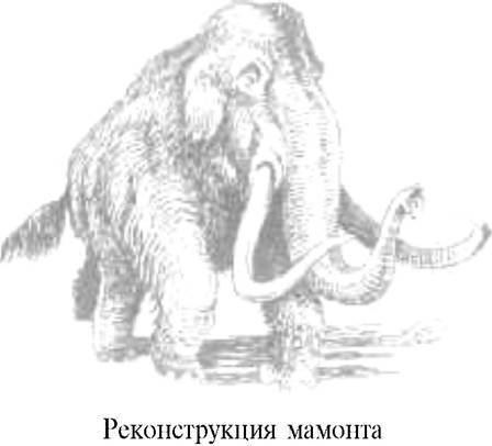 О ловкости и ее развитии - any2fbimgloader64.jpeg