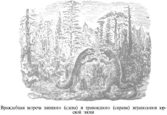 О ловкости и ее развитии - any2fbimgloader65.jpeg