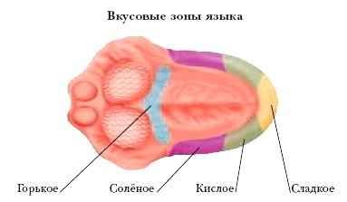 Энциклопедия «Биология» (без иллюстраций) - yu_008.jpg