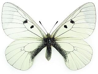 Квест - id98952_doc2fb_image_0200005C.jpg