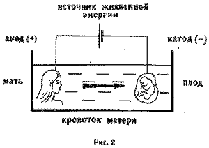 Воспитание в утробе матери, или рассказ об упущенных возможностях - _2.png