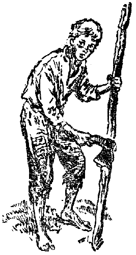 Бронзовая птица - i013.png