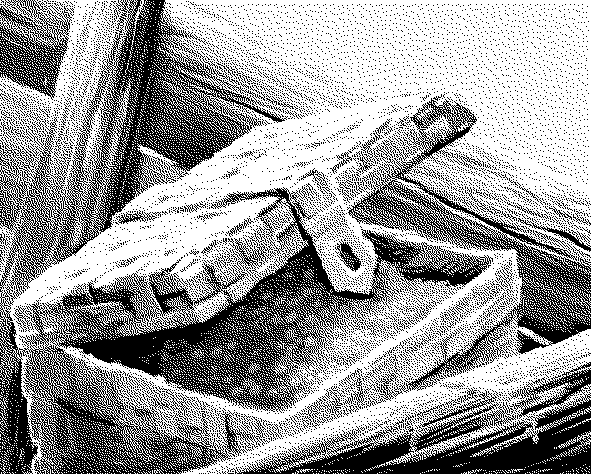 Хонорик – таежный сыщик - konc.png