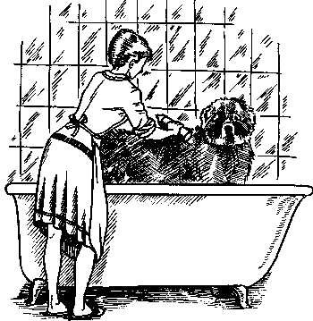 Кавказская овчарка - i_059.png