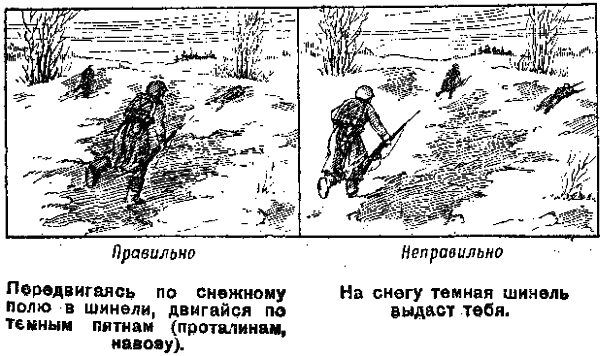 Памятка разведчику по маскировке - any2fbimgloader23.png