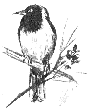Томек в Гран-Чако - pic03.png