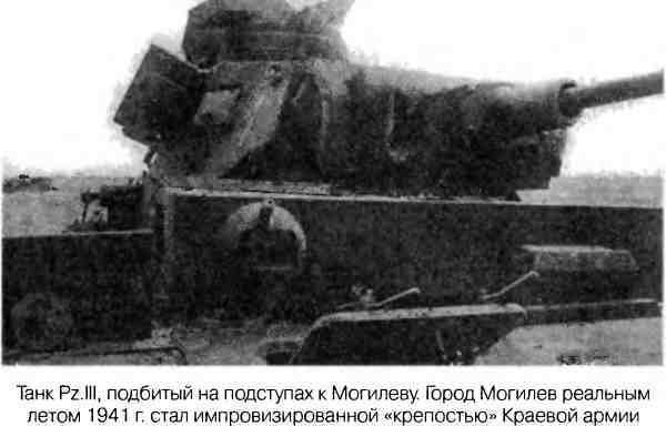 Великая Отечественная альтернатива. 1941 в сослагательном наклонении - i_047.jpg
