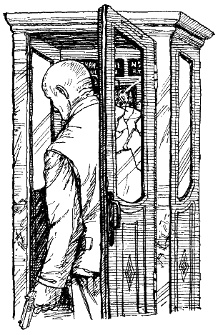 Шпионский роман - i_026.png
