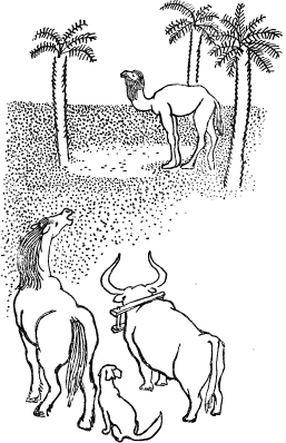 Отчего у верблюда горб - i_001.png
