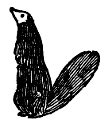 Рикки-Тикки-Тави - i_007.png
