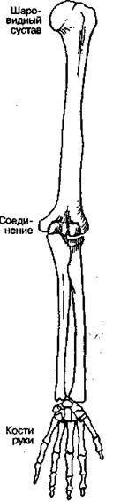 Шокирующая правда о воде и соли - any2fbimgloader18.jpeg