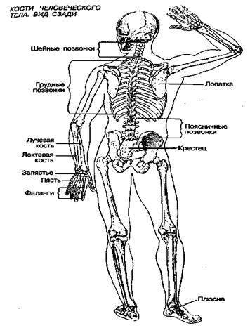 Шокирующая правда о воде и соли - any2fbimgloader24.jpeg