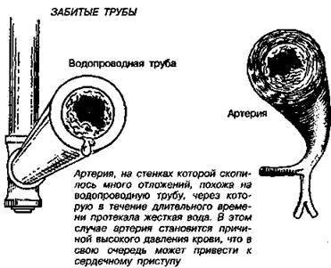 Шокирующая правда о воде и соли - any2fbimgloader45.jpeg