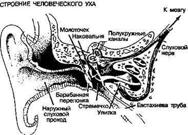 Шокирующая правда о воде и соли - any2fbimgloader46.jpeg