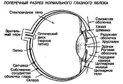 Шокирующая правда о воде и соли - any2fbimgloader47.jpeg