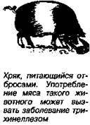 Шокирующая правда о воде и соли - any2fbimgloader52.jpeg