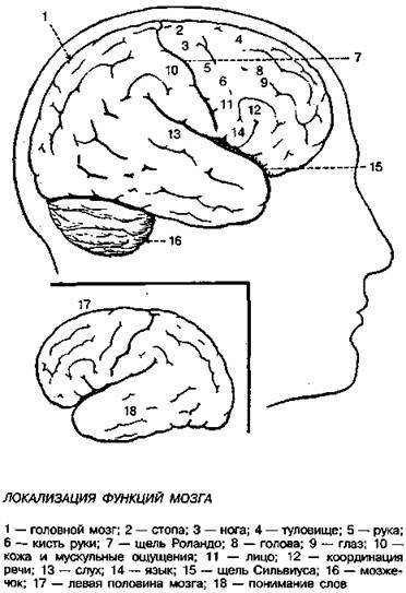 Шокирующая правда о воде и соли - any2fbimgloader9.jpeg