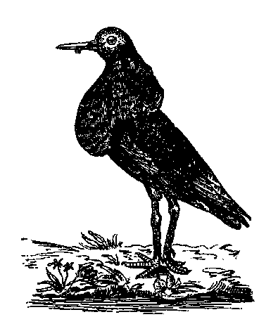 Том 5. Записки ружейного охотника - i_014.png