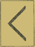 Как стать ведьмой (СИ) - img_14.png