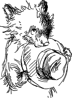 Медвежонок по имени Паддингтон - i_006.png