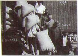 Исторические хроники с Николаем Сванидзе. Книга 1. 1913-1933 - i_193.jpg