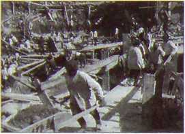 Исторические хроники с Николаем Сванидзе. Книга 1. 1913-1933 - i_232.jpg