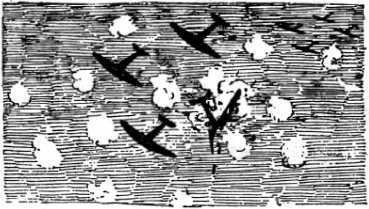 Танк смерти <br />(Советская оборонная фантастика 1928-1940) - i_026.jpg