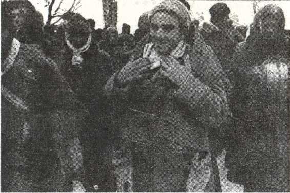 Танковый удар<br />Советские танки в боях. 1942—1943 - i_029.jpg