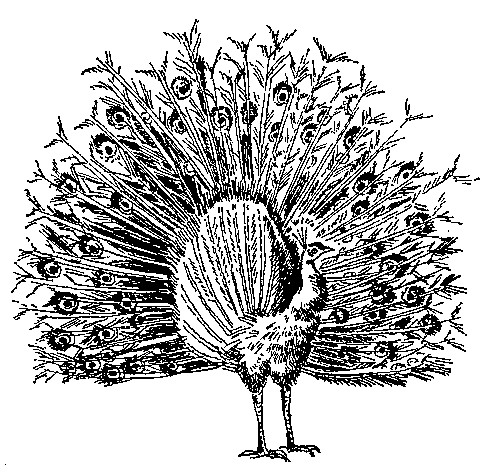 Грот афаліны - i_014.png