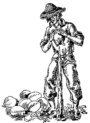 Грот афаліны - i_022.png