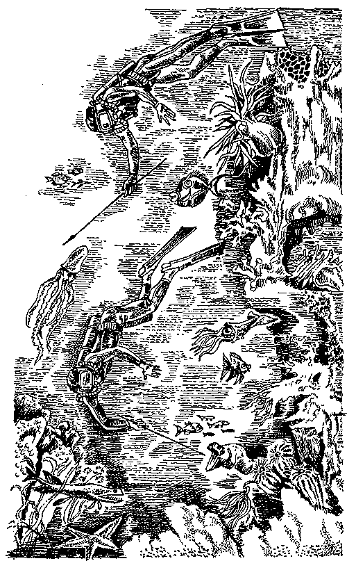 Грот афаліны - i_028.png