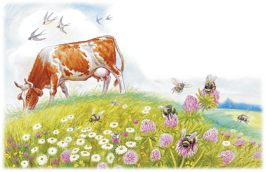 Приключение Муравьишки (сборник) - i_005.png