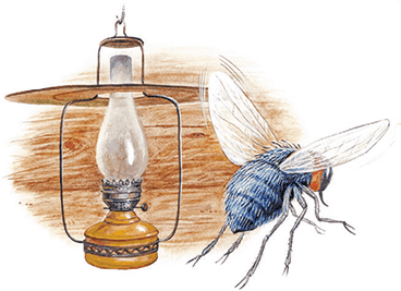 Приключение Муравьишки (сборник) - i_009.png