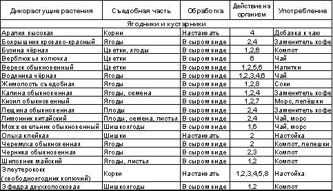 Встреча с Кощеем Бессмертным. Практика бессмертия - i_098.png