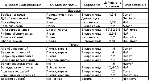 Встреча с Кощеем Бессмертным. Практика бессмертия - i_099.png