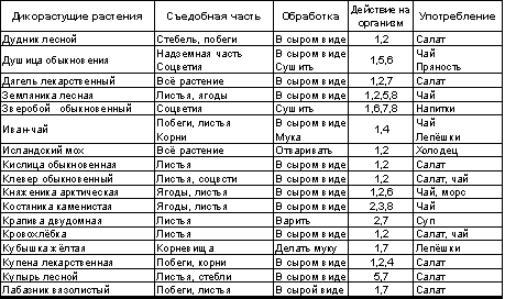 Встреча с Кощеем Бессмертным. Практика бессмертия - i_100.png