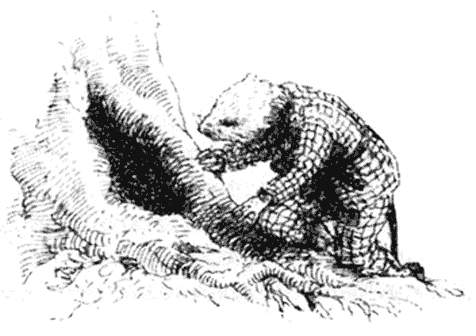 Ветер в ивах - i_021.png