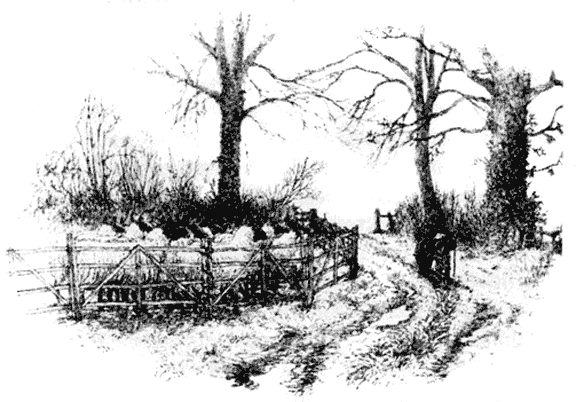 Ветер в ивах - i_030.png