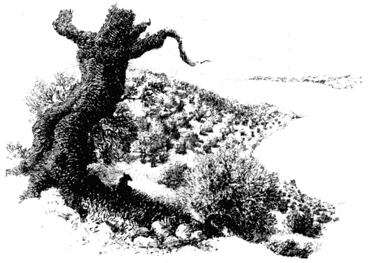 Ветер в ивах - i_059.png