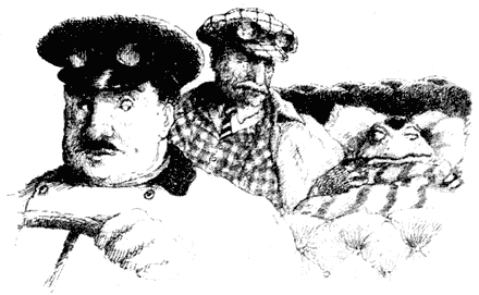 Ветер в ивах - i_066.png