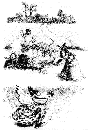 Ветер в ивах - i_067.png