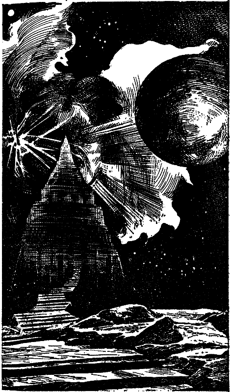 Ветка кедра - i_003.png