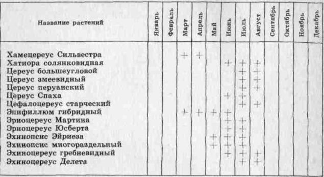 Комнатное цветоводство - i_017.jpg