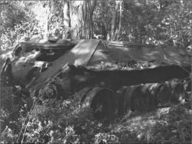 «Тигры» в снегу<br />Мемуары танкового аса - i_348.jpg