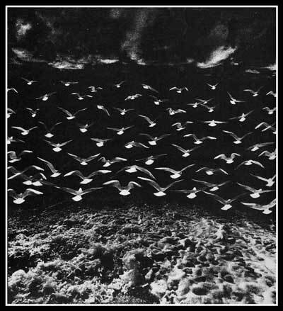 Гея (1988) - i_011.jpg