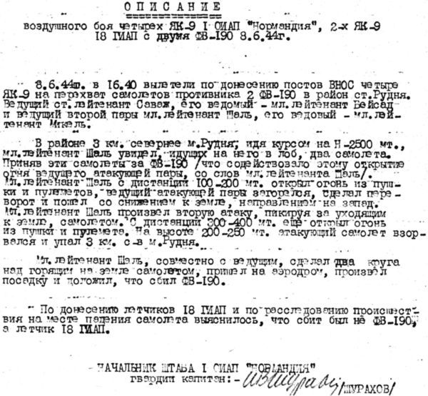 Подлинная история авиаполка «Нормандия – Неман» - i_007.jpg